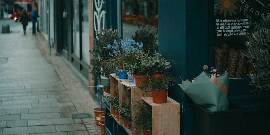 A display of potted flowering plants arranged on wooden shelves outside a florist's shop on Barking Road in Canning Town. The plants include blue hyacinths and various green foliage, with some wrapped