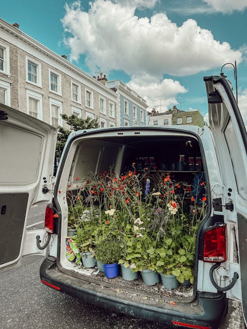 https://floristcanningtown.co.uk/blog/what-to-do-when-flowers-arrive-late-in-canning-town/