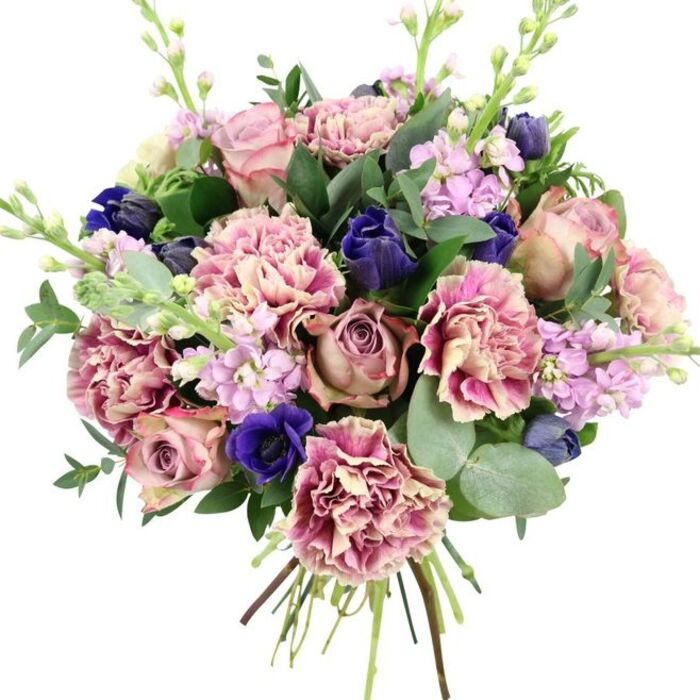This image shows an opulent, hand-tied bouquet positioned against a pure white background, every element clearly defined as if laid out in the bright, even light of a Canning Town florist's studio. The central focus is a collection of lush garden roses in tones of blush pink, dusty rose, and faded mauve, each bloom opening fully with layered, swirling petals that create a soft, romantic heart to the arrangement. Surrounding these roses are abundant frilled carnations, their petals forming ruffled tiers of creamy beige blending into blush and deeper plum-pink at the edges, bringing a rich, tactile texture that looks almost like finely gathered fabric. Breaking through the warm pinks, intense royal blue and indigo flowers add drama: a prominent open anemone with a near-black centre anchors the front of the bouquet, while sleeker, tulip-like buds in the same deep blue hue add depth and sophistication. Rising delicately above and between the main flowers are slender stems of lavender and lilac stock, their clusters of small blossoms providing airiness, height, and a sense of gentle fragrance, as if the bouquet had just arrived from a stroll along Barking Road in early spring. Framing the composition is a mix of fresh greenery: rounded, silvery eucalyptus leaves that catch the light with a soft matte sheen, and darker green foliage that fills the spaces and strengthens the outline. The visible gathered stems at the base reveal the bouquet's hand-crafted nature and freshly cut condition. With its blend of pinks, purples, blues, and greens, this design feels both refined and comforting, ideal for weddings, anniversaries, or thoughtful everyday gifting with local delivery across Canning Town and the surrounding E16 neighbourhoods.