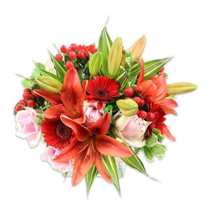Set against pristine white, this exuberant floral composition presents a harmonious mix of bold and soft elements, thoughtfully arranged to feel both dramatic and intimate. At the heart sit several striking Asiatic lilies in an orange-red hue, their recurved petals and faint speckling drawing the eye; a few unopened buds rise like promises of continued bloom. Nestled around the lilies are vivid red Gerbera daisies with radiating petals and darker central disks, contributing energetic, sunburst textures that balance the lilies' sweeping curves. Interspersed among these stronger notes are tender pale pink roses, varying from tight, cup-like buds to fuller blossoms whose silky petals create pockets of gentle romance. Bright, glossy red hypericum berries are threaded through the bouquet, their small rounded forms and reflective skins adding festive punctuation and a pleasing tactile contrast. The bouquet's lushness is completed with an array of greenery-broad, matte leaves that ground the design, narrower lily foliage that provides movement, and a few variegated leaves to lift the palette with pale streaks-resulting in a generous, rounded silhouette. The studio lighting emphasizes the depth of colour: fiery oranges and crimsons harmonise with soft blush tones and vivid greens, producing a warm, celebratory mood. This arrangement evokes the scent of fresh cut stems with a hint of sweet spice, and reads as an ideal gift for anniversaries, Valentine's moments or to bring brightness to a living room near Custom House or Silvertown. The craftsmanship is evident in the balanced layering and rhythmic placement of accents, creating a bouquet that feels both opulent and thoughtfully local.
