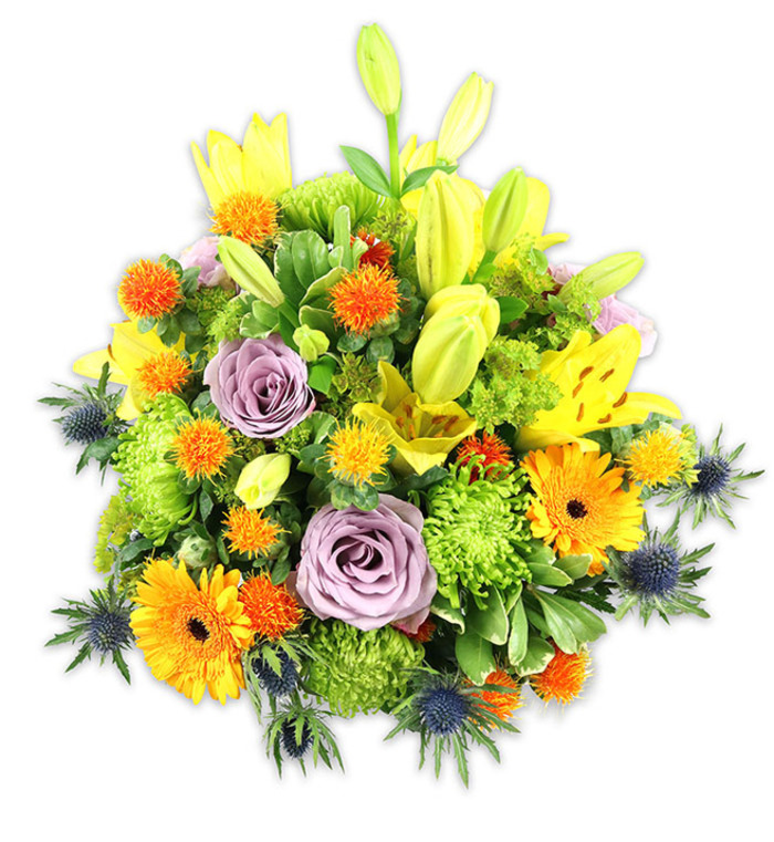 A densely packed, joyful bouquet photographed against a pristine white background, where vibrant warm tones meet cool, sculptural accents to create a versatile and expressive floral statement. Radiant yellow Asiatic lilies form the primary vertical rhythm-some fully unfurled with speckled throats and exposed stamens, others held as elongated buds hinting at continued unfolding-while two soft lavender roses sit slightly inset, their spiral petals offering a gentle, romantic pause amid the brighter blooms. The arrangement is animated by large orange Gerbera daisies, whose broad petals fan from darker centres like miniature suns, and by bright chartreuse-green button chrysanthemums that supply plush, textured volume and a sense of abundant greenery. Scattered globes of small, spiky orange and golden-yellow accents (reminiscent of Craspedia or similar) create lively points of interest and tactile contrast. Most striking against the warm palette are several blue-grey sea thistles (Eryngium) with spiky, star-shaped bracts; positioned along lower and side edges, they introduce a cool, architectural line that balances the composition. A mixture of glossy and softer foliage-broad lily leaves and finer filler-frames the flowers and anchors the bouquet's rounded silhouette. The visual and olfactory impression is bright, optimistic and slightly rustic: a soft rose scent undercut by the green freshness of leaves and the faint spice of thistle. Imagined on a mantel overlooking King Edward Memorial Park or as a centrepiece for a celebration on Barking Road, this bouquet conveys congratulations, warmth and reassurance with the considered workmanship of a local Canning Town florist.