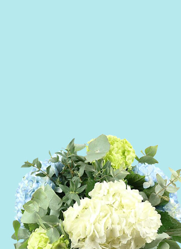 Same day Flowers Canning Town